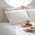 ON 높이조절 가능한 다운필 포켓베개솜 2P SET - 이마트몰, 원하는 상품을 원하는 시간에 쓱, 이마트몰 ON 높이조절 가능한 다운필... 