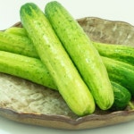 국내산 백오이 백다다기오이 / 2kg - 이마트몰, 원하는 상품을 원하는 시간에 쓱, 이마트몰 국내산 백오이 백다다기오이 / 2kg - 이마트몰