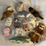 아트박스/콤비니 [선레몬] 플러피애니멀 고슴도치 쿼카 펭귄 인형... 아트박스/콤비니 [선레몬] 플러피애니멀 고슴도치 쿼카 펭귄 인형 - 이마트몰