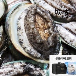 [2/5 오전9시 결제건까지 명절전배송]흑산도 활전복 명품 선물세트 6호 2kg 23-24미/대, 이마트몰, 당신과 가장 가까운 이마트 [2/5 오전9시... 