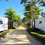 (충남 아산) 파라다이스 스파도고 캐빈파크 2인PKG 구 카라반 - 이마트몰