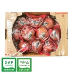 [푸른들] 경북 세척사과 중과 3kg (12-15과), 이마트몰, 당신과 가장 가까운 이마트 [푸른들] 경북 세척사과 중과 3kg (12-15과)