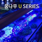 강아지 사료 로얄캐닌 미니 인도어 어덜트 애견 1.5kg, 이마트몰, 당신과 가장 가까운 이마트 강아지 사료 로얄캐닌 미니 인도어 어덜트 애견... 