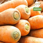 [삼촌농장] 올해 갓 수확한 햇 흙 당근(왕/즙용) 3kg - 이마트몰, 당신과 가장 가까운 이마트 [삼촌농장] 올해 갓 수확한  햇  흙 당근(왕/즙용) 3kg