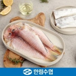 [제주 한림수협] 제주 갈치3미(1미당 300g)+제주 옥돔3미(1미당 160g) 혼합세트+부직포가방 증정_국내산_냉동비축품 - 이마트몰, 원하는... 