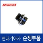 쓱, 이마트몰 전면 방향지시등(깜빡이) 전구 소켓 (921603K000) 싼타페 더 스타일 (CM), 스포티지 2004년식, 뉴 쏘렌토 (BL), 카렌스 뉴 (UN)... 