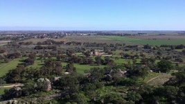 Why do many of Australias new migrants avoid settling in regional areas?