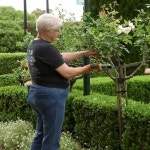 SBS Language | 米グーグルが豪州に大型投資、5年間で10億オーストラリアドル 米グーグルが豪州に大型投資、... 