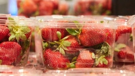 Needles found in Australian strawberries in New Zealand