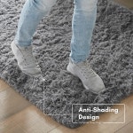 Ophanie 4x6 Rug, Grey, Fluffy Shaggy Soft Area Rug, Gray Non-Slip Indoor Floor Carpet for Living Room - $10