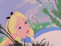 Alice in Wonderland | Shared Folder | Disney Amino PT Amino