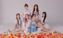 Shared Folder | Rocket Punch(로켓펀치) Amino