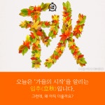 [카드뉴스]오늘이 입추(立秋)인데 왜 이렇게 더워?