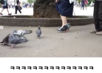 주변 사람들이 싫어하는 구두 - 에누리 쇼핑지식 자유게시판
