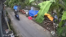 닭도둑