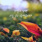 꽃밭에 우산 | 갓피플몰 꽃밭에 우산 [갓피플몰]