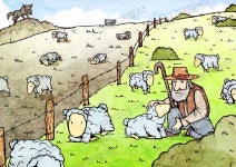 예배삽화 888 목자의 중요성 by 그림책마을 / 다운로드(파일) | 갓피플몰