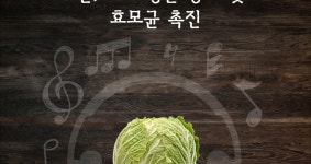 복내마을 베타후레쉬 절임배추 10kg | 갓피플 푸른가게 복내마을 베타후레쉬 절임배추 10kg [갓피플몰]