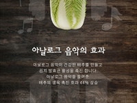 복내마을 베타후레쉬 절임배추 10kg | 갓피플 푸른가게 복내마을 베타후레쉬 절임배추 10kg [갓피플몰]