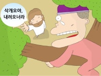 쉬운어린이설교PPT (신약)16과 뽕나무에 올라간 삭개오 by... (신약)16과 뽕나무에 올라간 삭개오 by 크리스천리더 / 다운로드(파일) [갓피플몰]