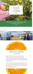 제주 의귀교회 정지영 집사의 노지감귤 5kg, 10kg (크기혼합) | 갓피플 푸른가게 제주 의귀교회 정지영 집사의 노지감귤 5kg, 10kg (크기혼합)... 