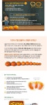 제주 의귀교회 정지영 집사의 노지감귤 5kg, 10kg (크기혼합) | 갓피플 푸른가게 제주 의귀교회 정지영 집사의 노지감귤 5kg, 10kg (크기혼합)... 