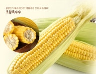 갓피플몰 갓피플몰, 크리스천 교회 종합 쇼핑몰, 기독교 책, 교회전도용품, 찬양, 악기, 성경 [갓피플몰]