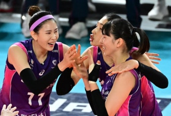 여자프로배구 뉴스 6페이지 - 스포츠조선