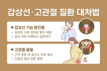 중장년 여성 유병률 높은 갑상선 질환·고관절 골절 주의 | 스포츠조선 중장년 여성 유병률 높은 갑상선 질환·고관절 골절 주의