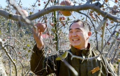 [싸리재] 장수 생사과즙 [착즙주스 사과즙 20봉지] 씨를 빼고 착즙한 신선한 사과주스 - 인공화학첨가물 0% 우리 농산물로 만듭니다 | 싸리재... 