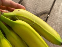 [싸리재] 국산 유기농 바나나 3kg, 경남 산청 친환경과일 - 인공화학첨가물 0% 우리 농산물로 만듭니다 | 싸리재 - 예스24