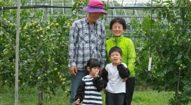 [싸리재] 보은대추칩 80g (보은대추, 대추편) - 인공화학첨가물 0% 우리 농산물로 만듭니다 - 예스24