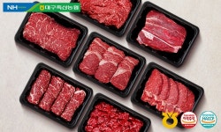 기획전 > 대구축협 한우 특가행사, 믿고 사는 즐거움 SSG.COM 대구축협 한우 특가행사