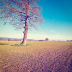 농장 — 스톡 사진 © ggkuna #50520335 농장