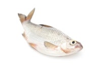 스포츠  — 스톡 사진 © schankz #71110851 스포츠