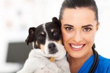 수 의사와 강아지  