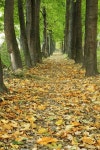 공원  