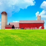 미국 농지 — 스톡 사진 © maxym #41560963 미국 농지