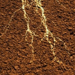 흙 흙 질감 — 스톡 사진 © ellandar #36140269 흙 흙 질감