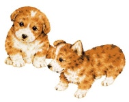 예쁜 강아지 — 스톡 사진 © daicokuebisu #27597083 예쁜 강아지