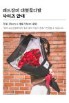 원모먼트 대형꽃다발 (레드장미) | 올리브영 원모먼트 대형꽃다발 (레드장미)