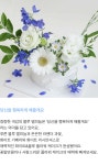 생화 케이크 (화이트앤블루) | 원모먼트