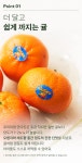 [온브릭스] 오렌지 맛 감귤, 프리미엄 만다린 2.5kg이상 (28-32입) | 올리브영 [온브릭스] 오렌지 맛 감귤, 프리미엄 만다린 2.5kg이상 (28-32입)