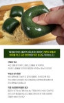 하프클럽 거문도해풍쑥 무농약 찐 쑥개떡 쑥인절미 쑥송편 쑥떡국떡
