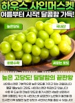상큼 달콤한 샤인머스켓 상급 1kg 2수 이상~