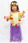 Aloha! — Stock Photo © kiankhoon #76316213 Aloha!