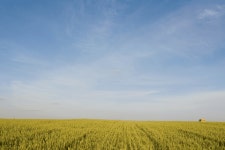 Color Combination Skyward Fields - Canvas Design Wiki