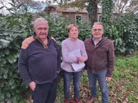 Face à une situation « critique », la Cour des comptes appelle France Télévisions à revoir « durgence » son cadre social... 