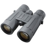 Steiner  10x42 P1042 Binocular (Gray) 2027 B&H Photo Video