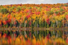 Tips for Landscape Photography | B&H eXplora Tips for Landscape Photography